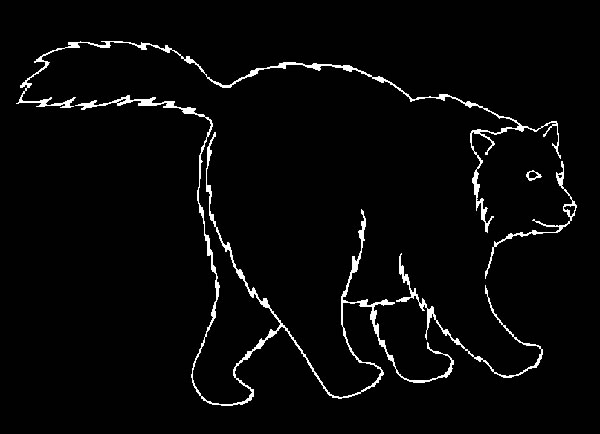 Outline of the Great Bear with a long tail.