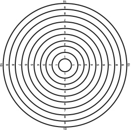 A graphic of concentric circles at the zenith