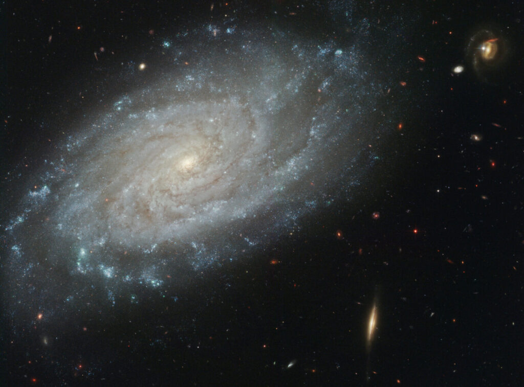 NGC 3370, in Leo (Spiral)