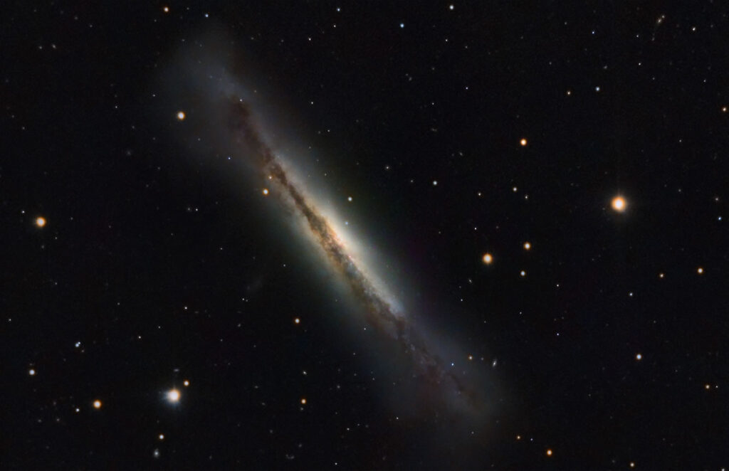 NGC 3628, in Leo (Spiral, edge-on), about 35 million light-years away.