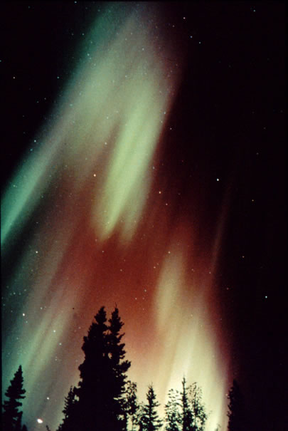 Image 33 Aurora in Alaska by Jan Curtis
