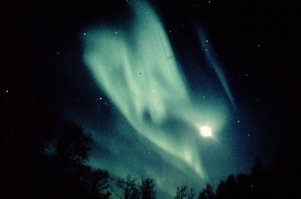 Image 44 Aurora near Tromsø, Norway by Franck Pettersen