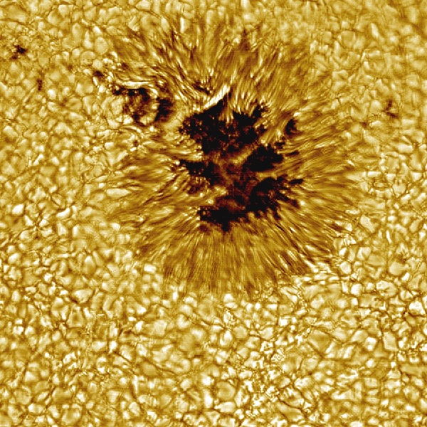 Sunspot on Sun (center)