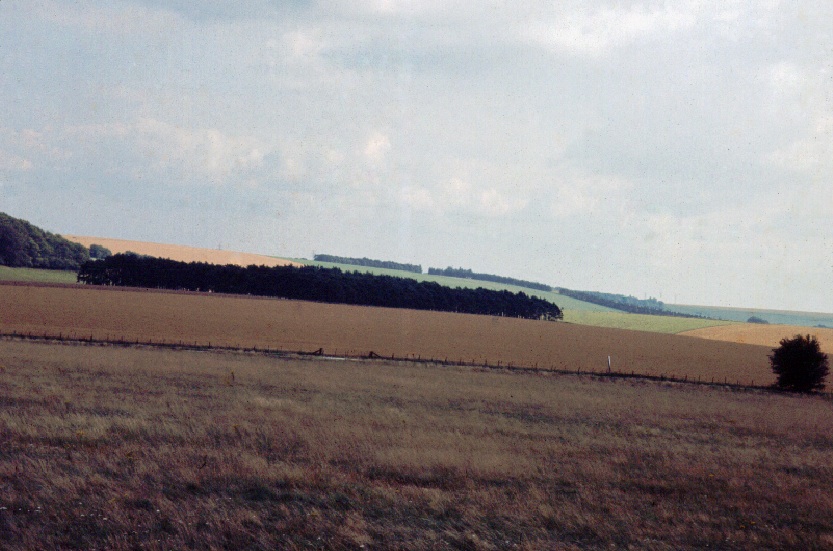 View of the Horizon Around Stonehenge.